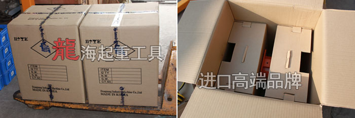 BH80015纏繞并連氣動(dòng)平衡器包裝圖片