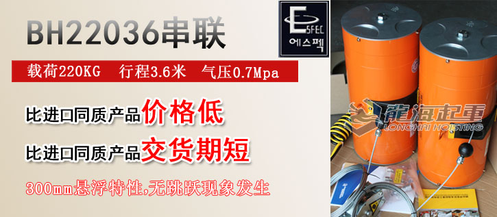 BH22036型東星氣動(dòng)平衡器
